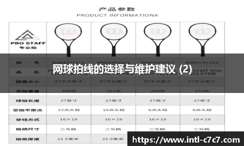 网球拍线的选择与维护建议 (2)